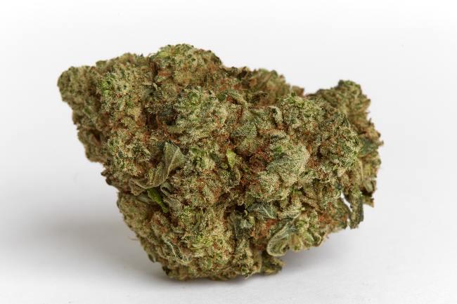 A green cannabis bud with green hairs in front of a white background