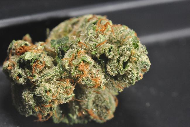 A small, round light green cannabis nugget that has orange hairs and is dusted in white trichomes