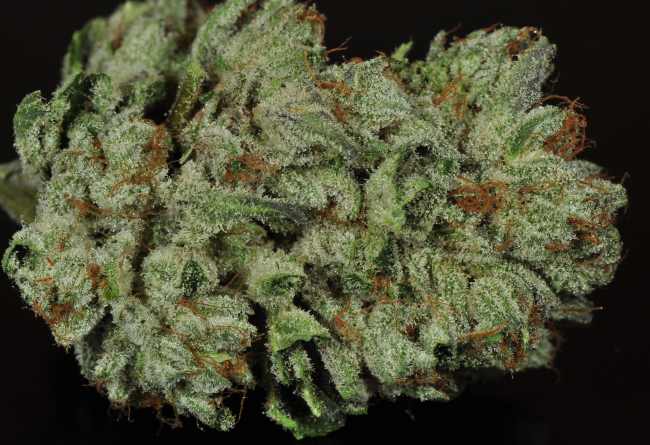 Alien OG Marijuana Strain Information - Wikileaf