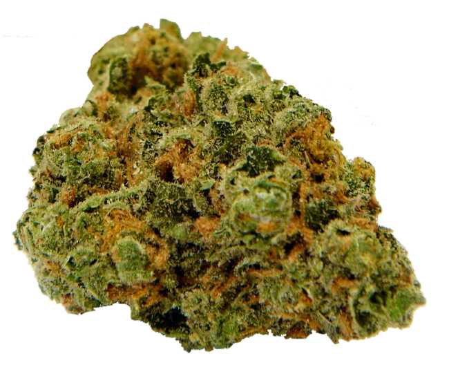 Blueberry Seagal Weed Strain