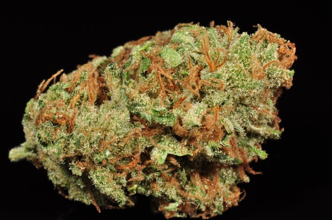 Amnesia Haze Marijuana Strain Information | Wikileaf