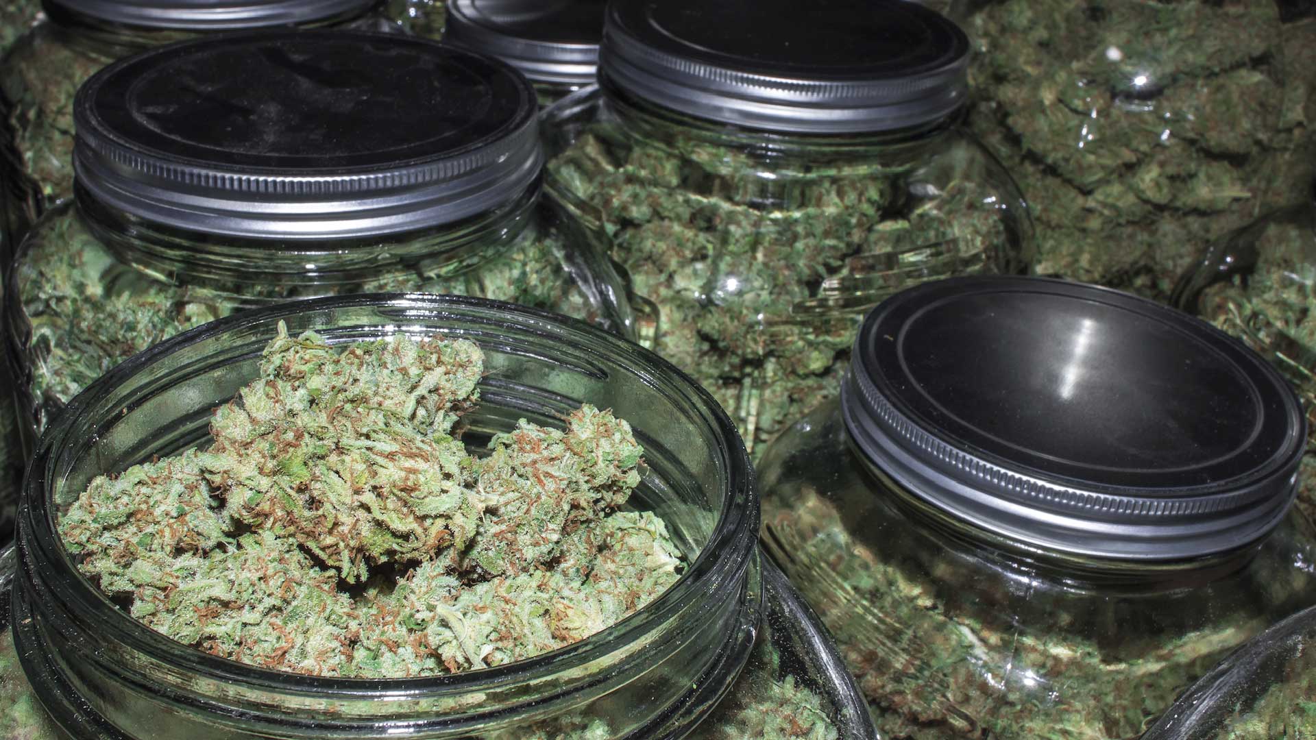 The Best Dispensaries in Denver Where to Shop Wikileaf