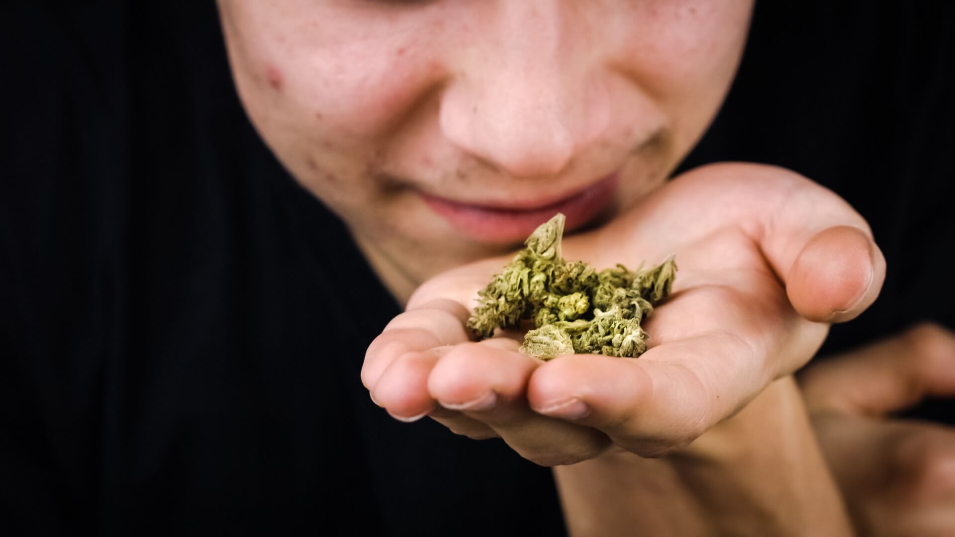 What the Heck Does Weed Smell Like? | Wikileaf