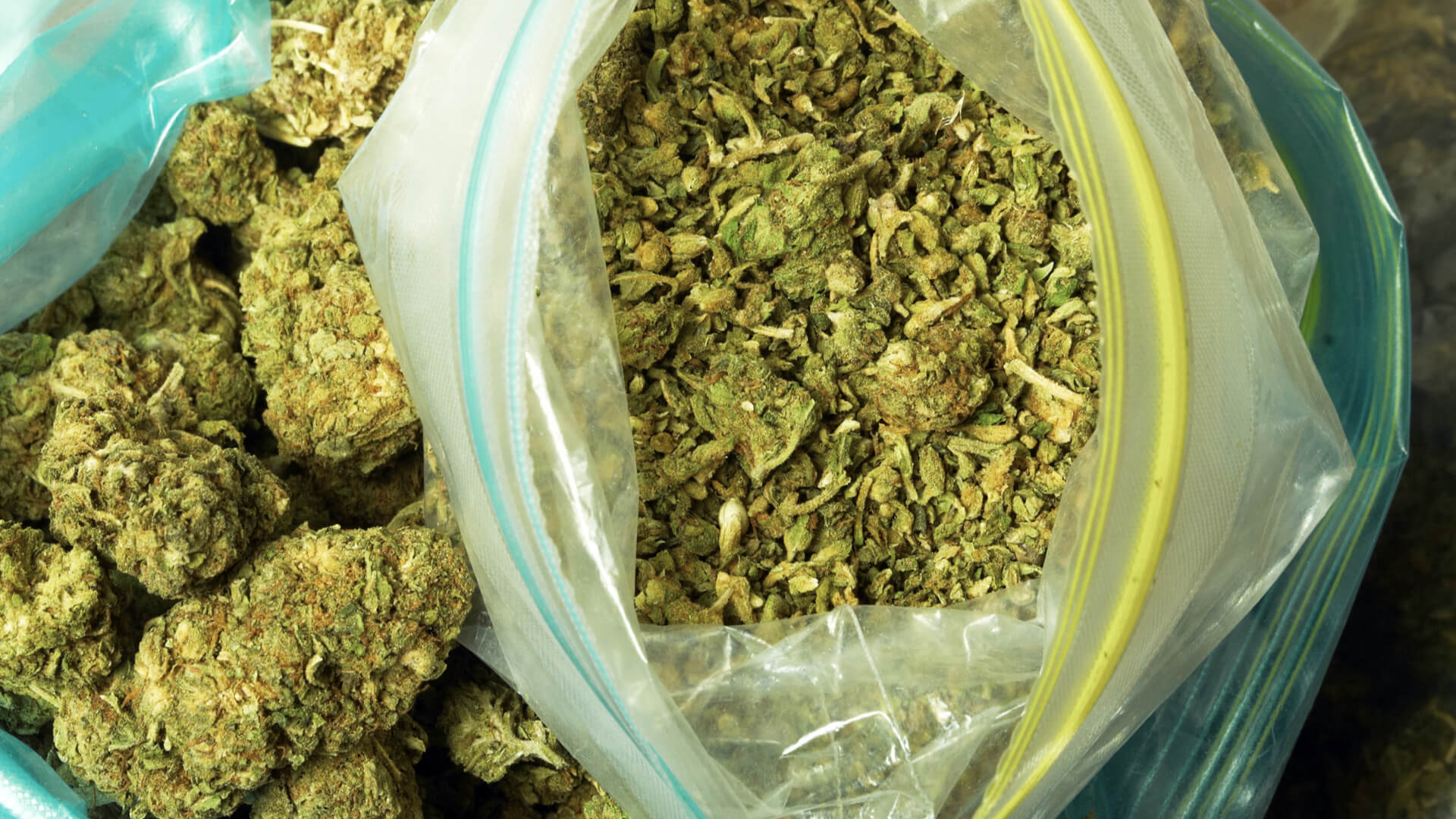 How Much is a Zip of Weed? Unveil the Cost Secrets!