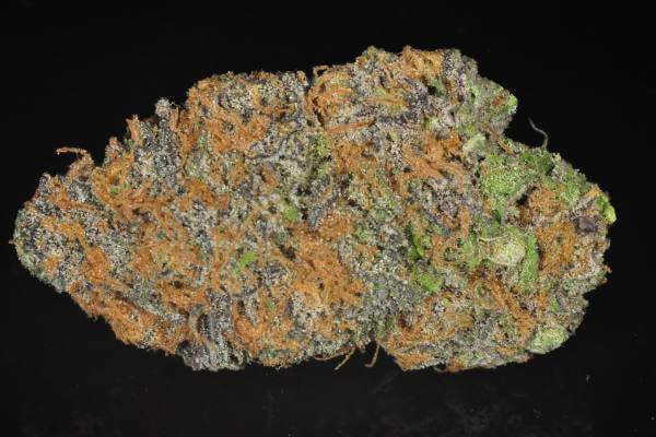 Cannabis bud that is green and purple with orange stamens