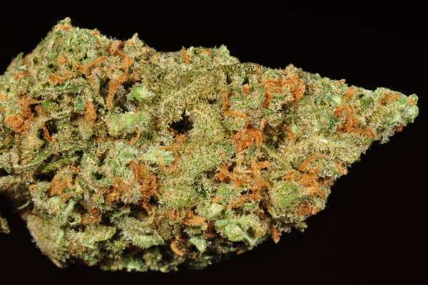 a long, pointy cannabis nugget that is dusted with orange hairs 