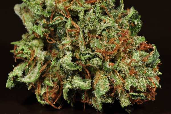 A fluffy green and orange cannabis bud.